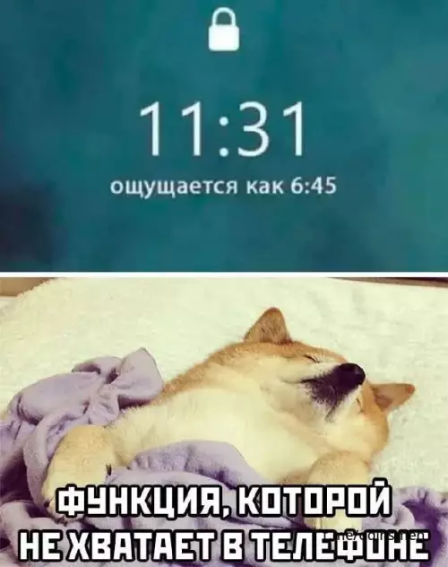 Смешная картинка №671546