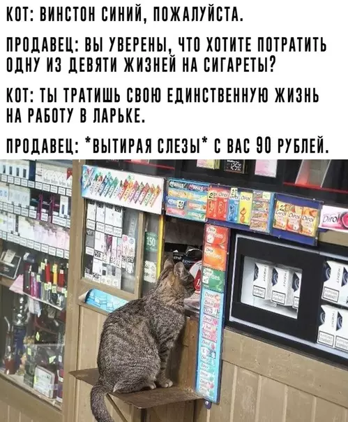 Смешная картинка №357942